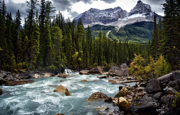 Picture forest, landscape, mountains, nature, river, stones, thresholds