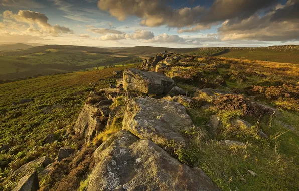 Field, landscape, sunset, stones