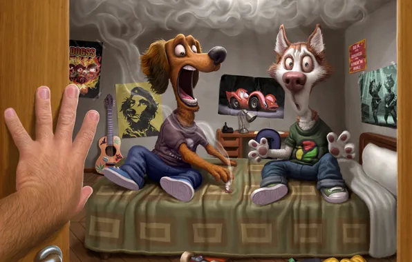 Picture dogs, room, smoke, the owner