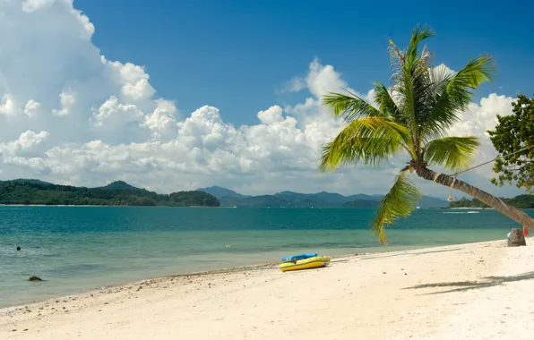 Sand, sea, beach, summer, palm trees, summer, beach, sea