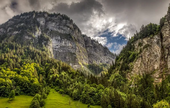 Forest, clouds, trees, mountains, rocks, Switzerland, Alps, gorge