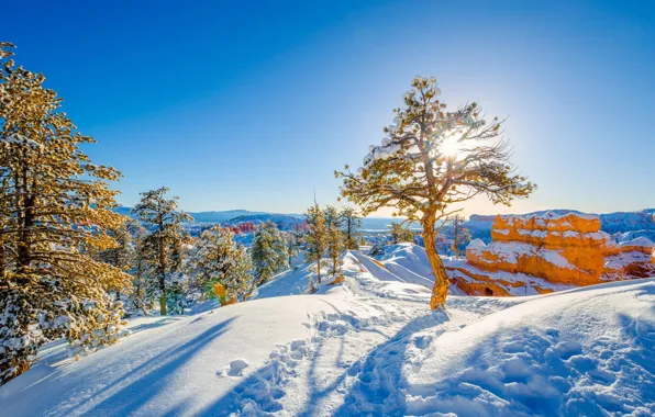 Picture winter, snow, rocks