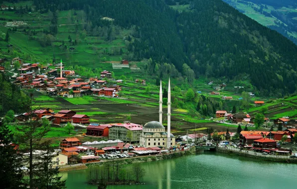 Sea, mountains, the city, home, mosque, Turkey, the minaret, Trabzon