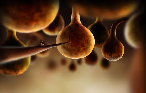 Being, hike, characters, botanicula