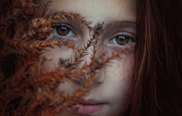 Picture autumn, freckles, brown-eyed, Brookie