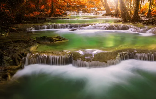 Picture autumn, forest, trees, river, cascade
