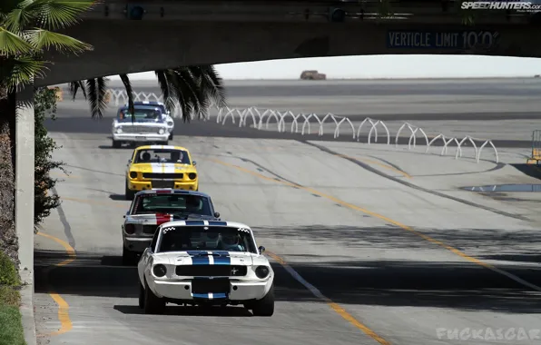 Wallpaper 1964, USA, Ford, Mustang, Origin, speedhunters, FuckasCar, AMC