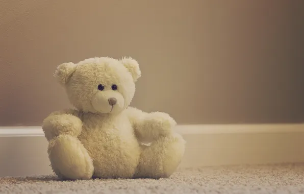 Picture white, toy, bear