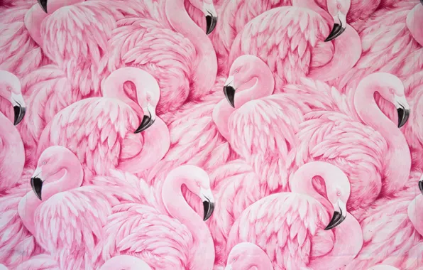 Birds, figure, Flamingo, print