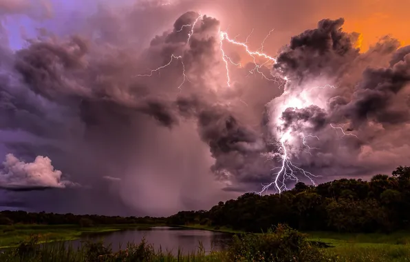 The storm, the sky, grass, landscape, clouds, nature, lake, rain