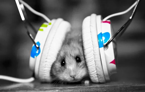 Picture music, mouse, headphones