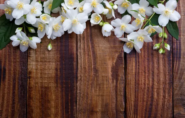Picture flowers, spring, white, white, flowering, wood, blossom, flowers