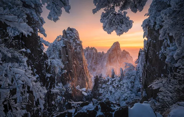 Winter, frost, forest, the sky, snow, trees, mountains, branches