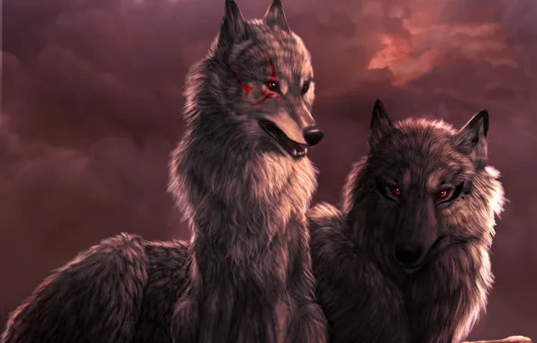 Clouds, sunset, Wolf, wolf, art, Dark_Sheyn