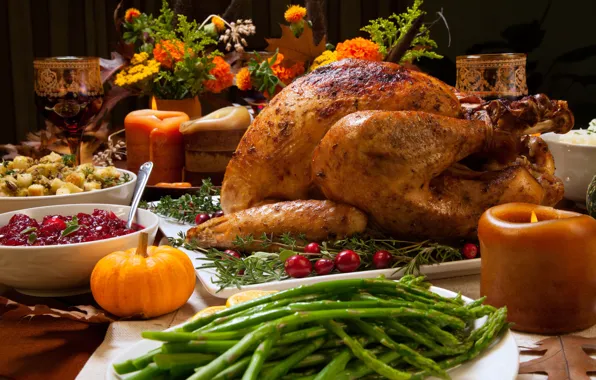 Candles, vegetables, Turkey, cuts, asparagus, cranberry