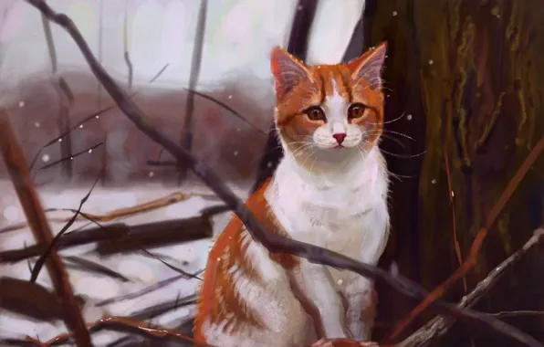 Cat, snow, nature, by Meorow