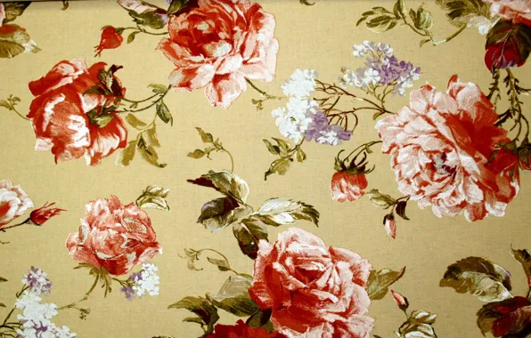 Leaves, flowers, design, pattern, roses, texture, stem, Bud