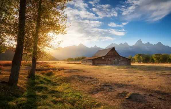 Field, autumn, trees, home, house, Grand Teton, Grand Teton national Park