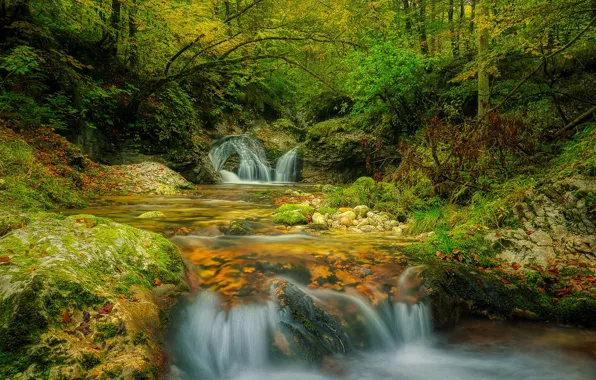 Forest, leaves, trees, stream, stones, waterfall, moss, Slovenia