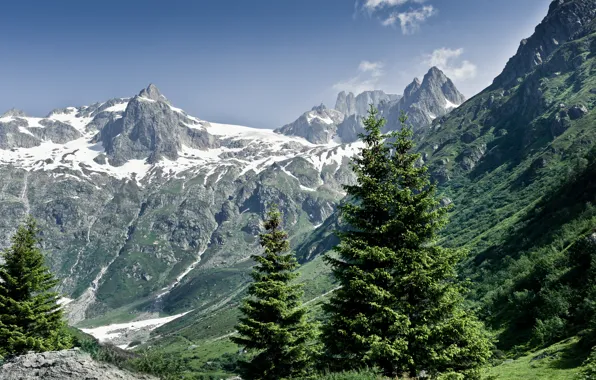 Forest, summer, mountains, nature, Alps