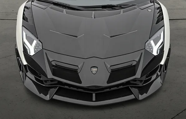 Picture power, supercar, sports car, supercar, Lamborghini Aventador, Mansory, sports car, the only instance