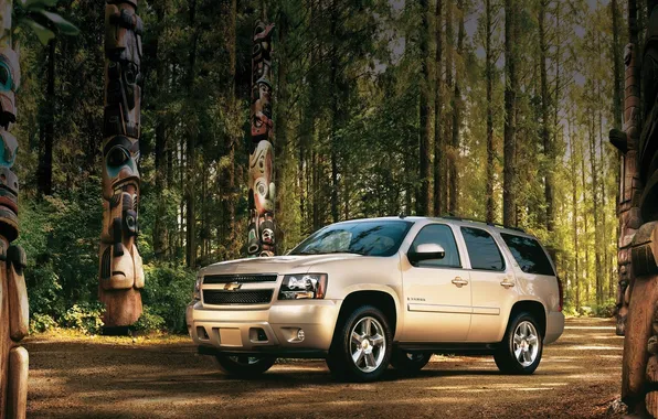 Picture forest, chevrolet, beige, tahoe