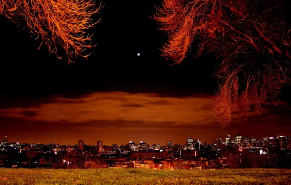 The city, lights, night