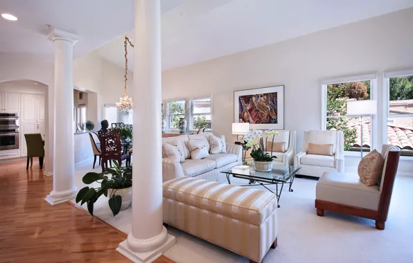 Picture style, sofa, flowers, interior, living room, Villa, columns