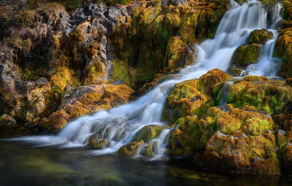 Stones, waterfall, moss, Iceland, Dynjandi waterfall