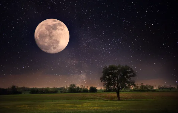 Picture the sky, stars, landscape, night, nature, the moon, moon, sky