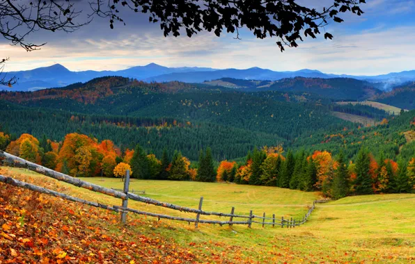 Picture road, autumn, forest, the sky, grass, leaves, trees, mountains