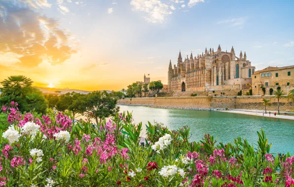 Picture Flowers, River, Spain, Spain, Mallorca, Mallorca, Palma de Mallorca, Palma Cathedral