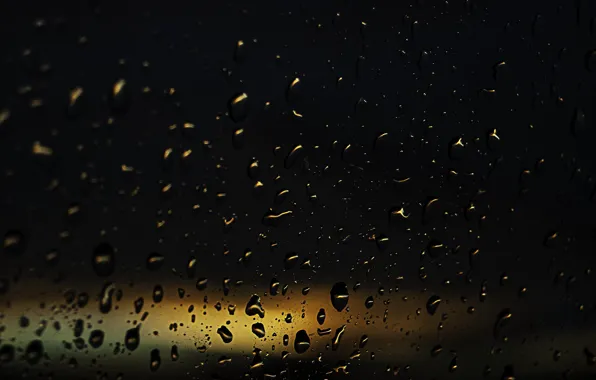 Glass, drops, the evening
