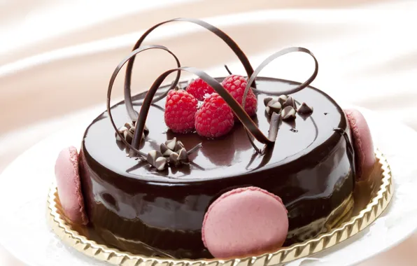 Raspberry, chocolate, cake, decor, macaroon