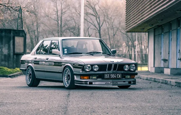 Picture BMW, E28, ALPINA, 535I, B7