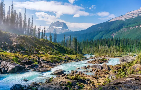 Picture forest, landscape, mountains, river, stones, mountain, forest, river