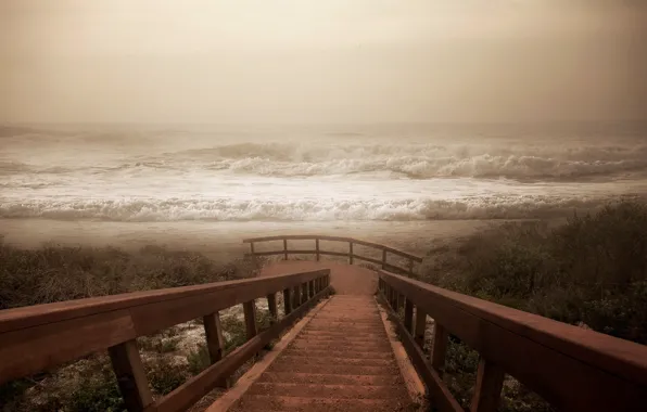 Picture sea, wave, fog, shore, ladder