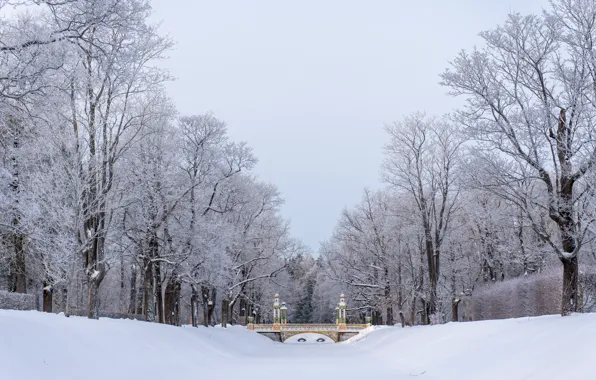Snow, Bridge, frost, Catherine Park