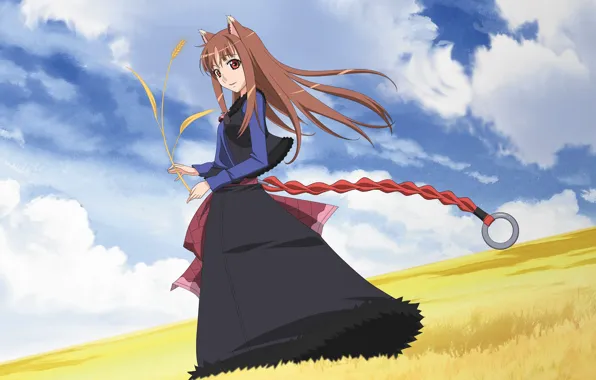 Field, horizon, space, ears, long hair, Spice and Wolf, Holo, Spice and wolf