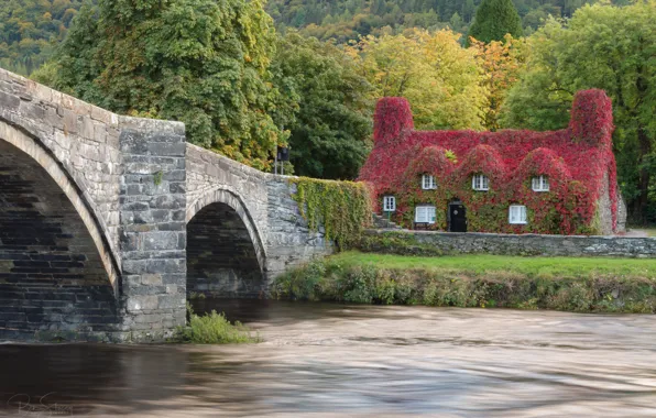 Picture autumn, bridge, house, river, the building, England, England, Wales