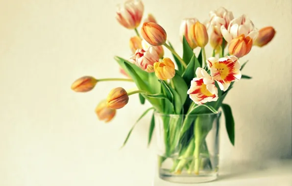 Picture flowers, tulips, vase, orange