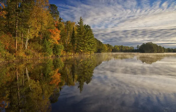 Autumn, forest, the sky, clouds, trees, lake
