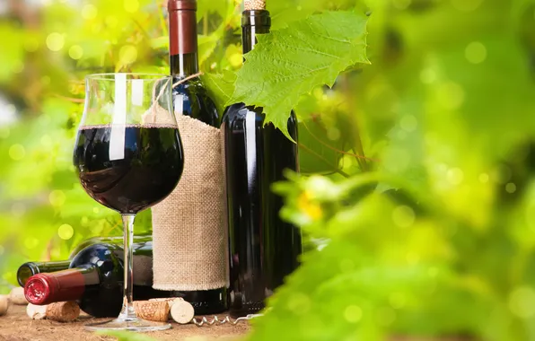 Wine, red, glass, grapes, corkscrew