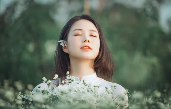 Picture girl, flowers, mood, portrait, chamomile, bouquet, Asian, closed eyes