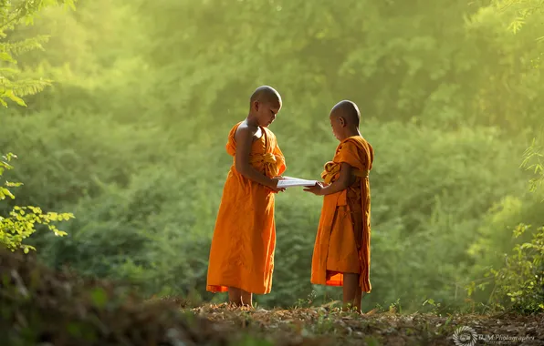 Nature, boy, asian, monk