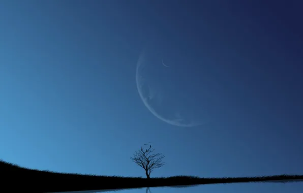The sky, lake, the moon, blue