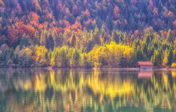 Picture autumn, forest, lake, reflection