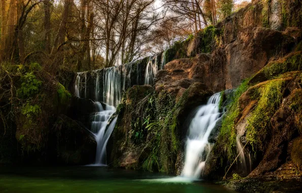 Forest, trees, rock, waterfall, CA, USA, San Martin