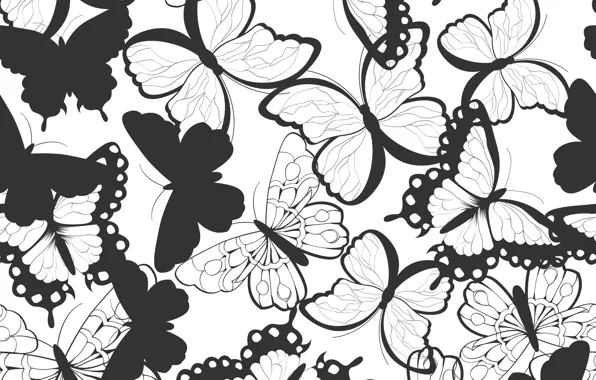 Picture black and white, Pattern, Butterfly, Texture