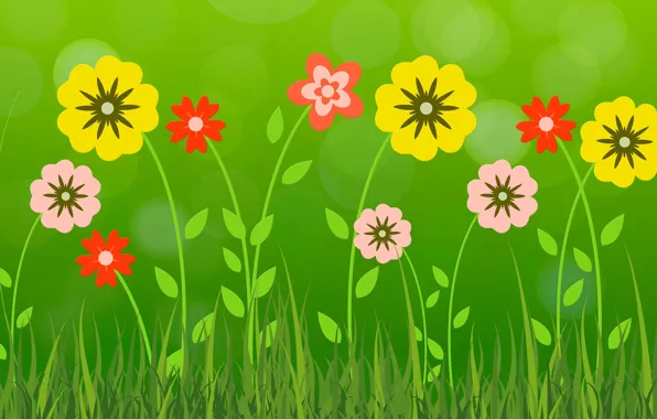 Summer, flowers, petals